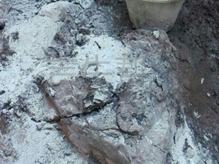 圖片關鍵詞 圖片關鍵詞